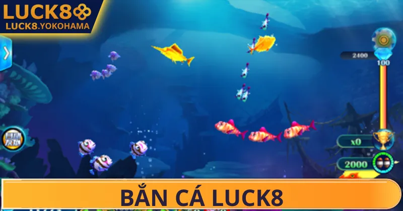Bắn Cá LUCK8 Hành trình săn ngọc từ rùa biển xanh