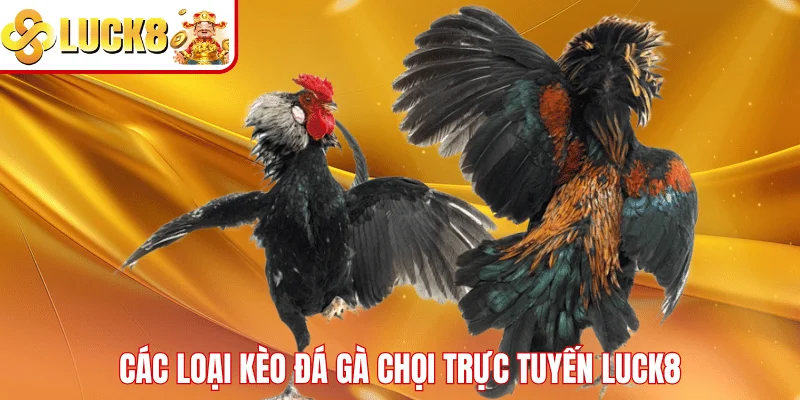 Đá Gà Chọi Trực Tuyến LUCK8 – Trải Nghiệm Cược Đỉnh Cao Các loại kèo đá gà chọi trực tuyến LUCK8