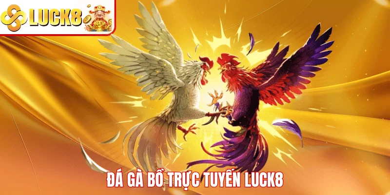 Đá Gà Bồ Trực Tuyến LUCK8 – Trải Nghiệm Cược Đỉnh Cao Đá gà bồ trực tuyến LUCK8