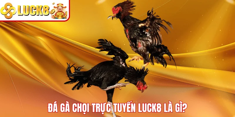 Đá Gà Chọi Trực Tuyến LUCK8 – Trải Nghiệm Cược Đỉnh Cao Đá gà chọi trực tuyến LUCK8 là gì?