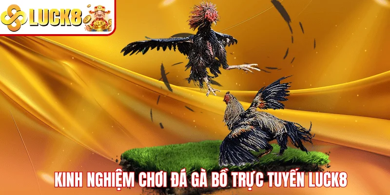 Đá Gà Bồ Trực Tuyến LUCK8 – Trải Nghiệm Cược Đỉnh Cao Kinh nghiệm chơi đá gà bồ trực tuyến LUCK8