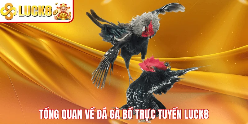 Đá Gà Bồ Trực Tuyến LUCK8 – Trải Nghiệm Cược Đỉnh Cao Tổng quan về đá gà bồ trực tuyến LUCK8