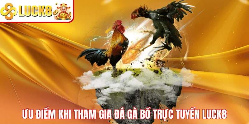 Đá Gà Bồ Trực Tuyến LUCK8 – Trải Nghiệm Cược Đỉnh Cao Ưu điểm khi tham gia đá gà bồ trực tuyến LUCK8